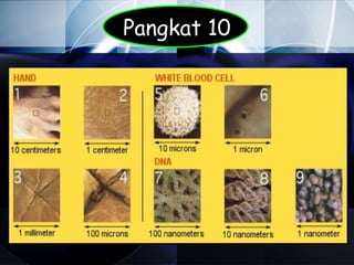 Pangkat 10
 