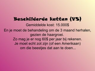 Beschilderde katten (VS) Gemiddelde kost: 15.000$ En je moet de behandeling om de 3 maand herhalen, gezien de haargroei.   Zo mag je er nog 60$ per jaar bij rekenen. Je moet echt zot zijn (of een Amerikaan)  om die beestjes dat aan te doen... 