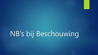 NB’s bij Beschouwing
 
