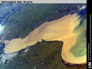 ESTUARIO DEL PLATA




     Proyecto Final Integrador
UM   REAL DE SAN CARLOS-COLONIA DE SACRAMENTO-URUGUAY
 