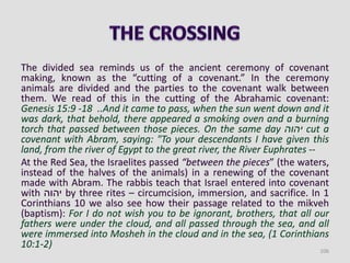 The divided sea reminds us of the ancient ceremony of covenant
making, known as the “cutting of a covenant.” In the ceremony
animals are divided and the parties to the covenant walk between
them. We read of this in the cutting of the Abrahamic covenant:
Genesis 15:9 -18 ..And it came to pass, when the sun went down and it
was dark, that behold, there appeared a smoking oven and a burning
torch that passed between those pieces. On the same day ‫יהוה‬ cut a
covenant with Abram, saying: "To your descendants I have given this
land, from the river of Egypt to the great river, the River Euphrates --
At the Red Sea, the Israelites passed “between the pieces” (the waters,
instead of the halves of the animals) in a renewing of the covenant
made with Abram. The rabbis teach that Israel entered into covenant
with ‫יהוה‬ by three rites – circumcision, immersion, and sacrifice. In 1
Corinthians 10 we also see how their passage related to the mikveh
(baptism): For I do not wish you to be ignorant, brothers, that all our
fathers were under the cloud, and all passed through the sea, and all
were immersed into Mosheh in the cloud and in the sea, (1 Corinthians
10:1-2)
106
 