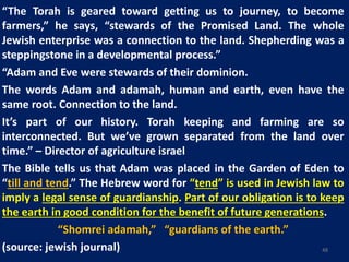 “The Torah is geared toward getting us to journey, to become
farmers,” he says, “stewards of the Promised Land. The whole
Jewish enterprise was a connection to the land. Shepherding was a
steppingstone in a developmental process.”
“Adam and Eve were stewards of their dominion.
The words Adam and adamah, human and earth, even have the
same root. Connection to the land.
It’s part of our history. Torah keeping and farming are so
interconnected. But we’ve grown separated from the land over
time.” – Director of agriculture israel
The Bible tells us that Adam was placed in the Garden of Eden to
“till and tend.” The Hebrew word for “tend” is used in Jewish law to
imply a legal sense of guardianship. Part of our obligation is to keep
the earth in good condition for the benefit of future generations.
“Shomrei adamah,” “guardians of the earth.”
(source: jewish journal) 48
 