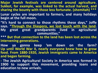Major Jewish festivals are centered around agriculture.
Sukkot, for example, was linked to the actual harvest, and
sharing the bounty with those less fortunate. (shemitah) ***
Lunar cycles are important to farmers, and many holidays
begin at the full moon.
“It’s hard to connect to those rhythms these days,” Joffe
says. “Through the Diaspora, we lost touch with the land.
My great great grandparents lived in agricultural
communities.”
*** But that connection to the land has been lost across the
intervening generations.
How ya gonna keep ’em down on the farm?
Up until World War II, nearly everyone knew how to grow
food. From 1880-1920, Jewish immigrants came to America
and began farming.
- The Jewish Agricultural Society in America was formed in
1900 to support this movement, providing loans and
education to new arrivals. 50
 