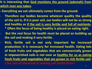 It is interesting that God mentions the ground (adamah) from
which man was taken.
- Everything we eat ultimately comes from the ground.
- Therefore our bodies become whatever quality the quality
of the soil is. If it is poor soil, our bodies will not be as strong
and healthy as if the soil is very fertile and full of nutrients.
* Often the focus of being healthy is placed on eating right.
- But the real focus for health must be placed on building up
the soil and making it very fertile.
- Rich, fertile soil is not only important for increased
production; it is necessary for increased health. Eating lots
of fresh fruits and vegetables that are commercially grown
in impoverished soils is not near as healthy for us as eating
fresh fruits and vegetables that are grown in rich fertile soil.
( the role of shemitah in making soil fertile?how?
60
 
