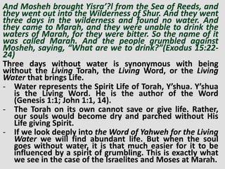 And Mosheh brought Yisra’?l from the Sea of Reeds, and
they went out into the Wilderness of Shur. And they went
three days in the wilderness and found no water. And
they came to Marah, and they were unable to drink the
waters of Marah, for they were bitter. So the name of it
was called Marah. And the people grumbled against
Mosheh, saying, “What are we to drink?”(Exodus 15:22-
24)
Three days without water is synonymous with being
without the Living Torah, the Living Word, or the Living
Water that brings Life.
- Water represents the Spirit Life of Torah, Y’shua. Y’shua
is the Living Word. He is the author of the Word
(Genesis 1:1; John 1:1, 14).
- The Torah on its own cannot save or give life. Rather,
our souls would become dry and parched without His
Life giving Spirit.
- If we look deeply into the Word of Yahweh for the Living
Water we will find abundant life. But when the soul
goes without water, it is that much easier for it to be
influenced by a spirit of grumbling. This is exactly what
we see in the case of the Israelites and Moses at Marah.81
 