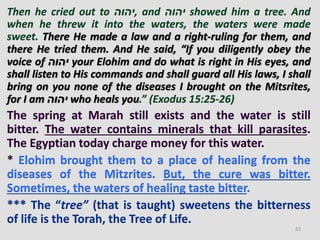 Then he cried out to ‫,יהוה‬ and ‫יהוה‬ showed him a tree. And
when he threw it into the waters, the waters were made
sweet. There He made a law and a right-ruling for them, and
there He tried them. And He said, “If you diligently obey the
voice of ‫יהוה‬ your Elohim and do what is right in His eyes, and
shall listen to His commands and shall guard all His laws, I shall
bring on you none of the diseases I brought on the Mitsrites,
for I am ‫יהוה‬ who heals you.” (Exodus 15:25-26)
The spring at Marah still exists and the water is still
bitter. The water contains minerals that kill parasites.
The Egyptian today charge money for this water.
* Elohim brought them to a place of healing from the
diseases of the Mitzrites. But, the cure was bitter.
Sometimes, the waters of healing taste bitter.
*** The “tree” (that is taught) sweetens the bitterness
of life is the Torah, the Tree of Life.
83
 