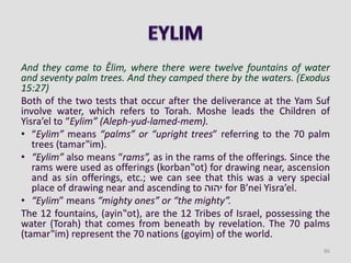 And they came to Ělim, where there were twelve fountains of water
and seventy palm trees. And they camped there by the waters. (Exodus
15:27)
Both of the two tests that occur after the deliverance at the Yam Suf
involve water, which refers to Torah. Moshe leads the Children of
Yisra’el to “Eylim” (Aleph-yud-lamed-mem).
• “Eylim” means “palms” or “upright trees” referring to the 70 palm
trees (tamar‟im).
• “Eylim” also means “rams”, as in the rams of the offerings. Since the
rams were used as offerings (korban‟ot) for drawing near, ascension
and as sin offerings, etc.; we can see that this was a very special
place of drawing near and ascending to ‫יהוה‬ for B’nei Yisra’el.
• “Eylim” means “mighty ones” or “the mighty”.
The 12 fountains, (ayin‟ot), are the 12 Tribes of Israel, possessing the
water (Torah) that comes from beneath by revelation. The 70 palms
(tamar‟im) represent the 70 nations (goyim) of the world.
86
 