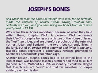 And Mosheh took the bones of Yosĕph with him, for he certainly
made the children of Yisra’ĕl swear, saying, “Elohim shall
certainly visit you, and you shall bring my bones from here with
you.” (Exodus 13:19)
Why were these bones important, because of what they held
within them, Joseph’s DNA. A person’s DNA represents
their identity. Joseph’s bones are a picture of the House of Israel,
the “lost” ten tribes, and are therefore prophetic of the return of
not just Judah and Benjamin, the two tribes currently living in
the land, but of all twelve tribes returned and living in the land.
Joseph’s bones represent a continuous heritage promised to
Abraham’s descendants generations ago.
Another reason Joseph’s bones had to be carried back to the
land of Israel was because Joseph’s brothers had tried to kill him
(Genesis 37:18). Without his DNA, or identity, it could be alleged
that Joseph was not “alive” and that his ancestors no longer
existed, even to this day. 90
 