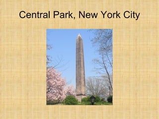 Central Park, New York City 