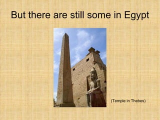But there are still some in Egypt (Temple in Thebes) 