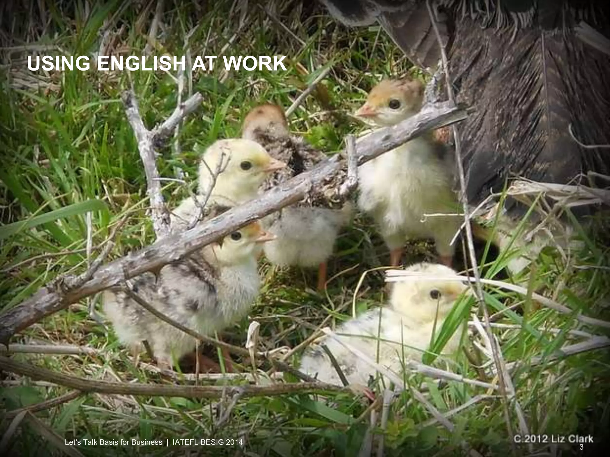 USING ENGLISH AT WORK 
3 
Let‘s Talk Basis for Business | IATEFL BESIG 2014 
 