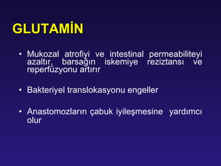 GLUTAM İ N M u k o z al at rofiyi ve intestinal permeabiliteyi azaltır ,  barsağın iskemiye reziztansı ve reperfüzyonu artırır B akteriyel translokasyonu engeller A n a stomozların çabuk iyileşmesine  yardımcı olur   