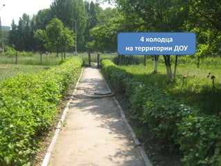 4 колодца
на территории ДОУ