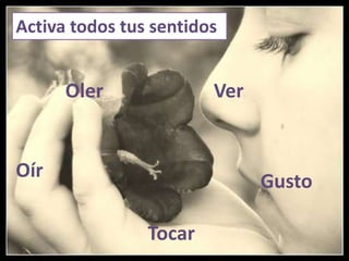 Activa todos tus sentidosOlerVerOírGustoTocar