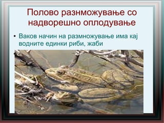 Полово разнможување со
надворешно оплодување
● Ваков начин на размножување има кај
водните единки риби, жаби
●
 