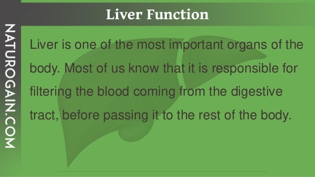 Best Diet Plan for Fatty Liver to Reduce Chance of Liver Cancer