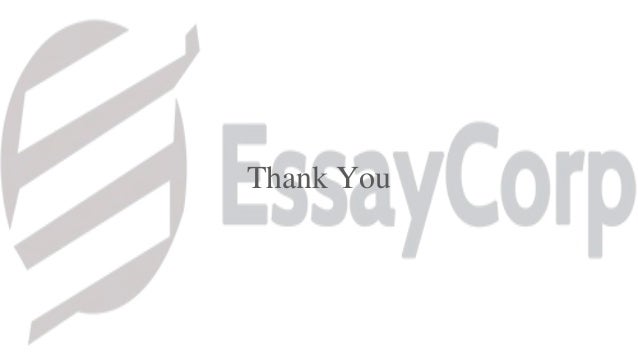 Essay help hotline