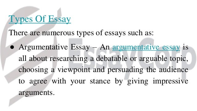 Essay writing help service