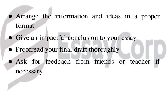 Essay writing help service