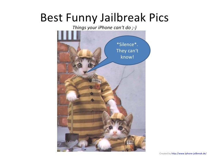 Best Funny Jailbreak Pics