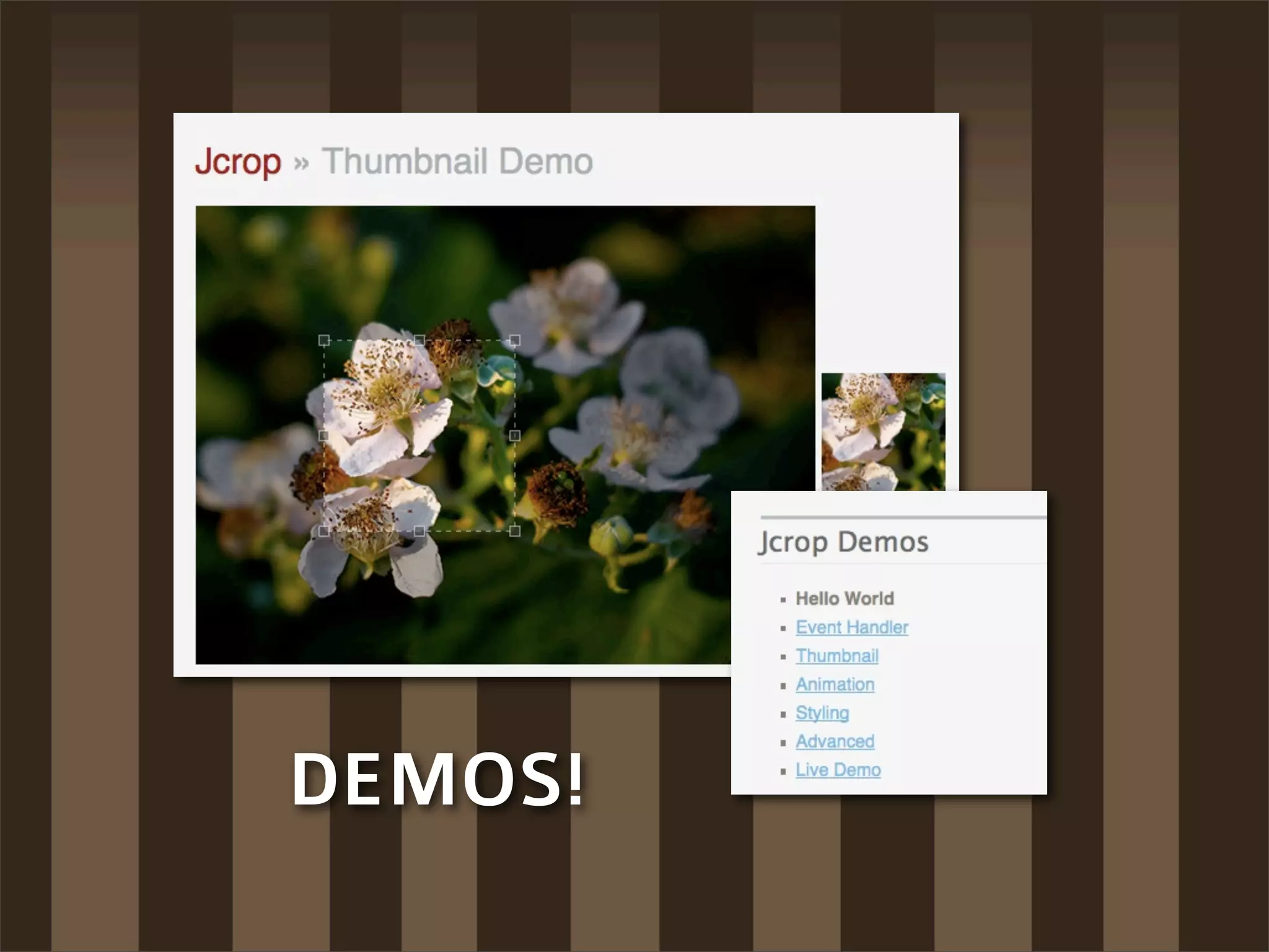 DEMOS!
 