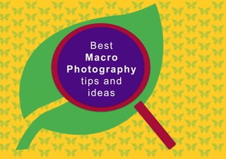 Best
Macro
Photography
tips and
ideas
 