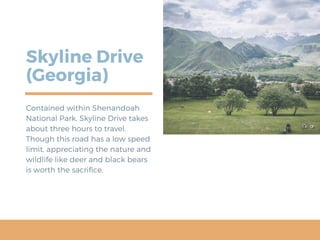 Skyline Drive
(Georgia)
Contained within Shenandoah
National Park, Skyline Drive takes
about three hours to travel.
Though this road has a low speed
limit, appreciating the nature and
wildlife like deer and black bears
is worth the sacrifice. 
 