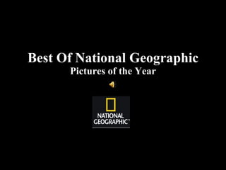 Best Of National Geographic Pictures of the Year 