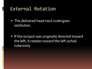Changes in Shape of the
Fetal Head
 Caput Succedaneum


 In prolonged labors before complete cervical
  dilatation, the ...