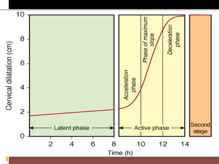 transition phase of labor transition phase of labor