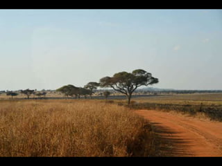 An African Safari - Tanzania