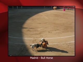 Madrid - Bull Horse 