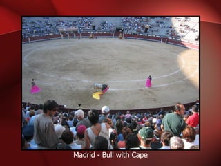 Madrid - Bull with Cape 