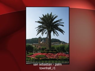 san sebastian - palm townhall_r1 