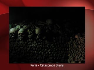 Paris - Catacombs Skulls 