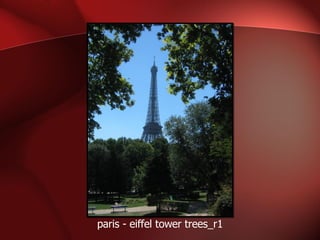 paris - eiffel tower trees_r1 