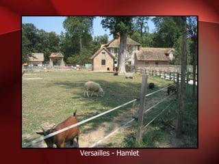 Versailles - Hamlet 