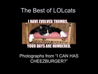 The Best of LOLcats 




Photographs from “I CAN HAS 
     CHEEZBURGER?”
