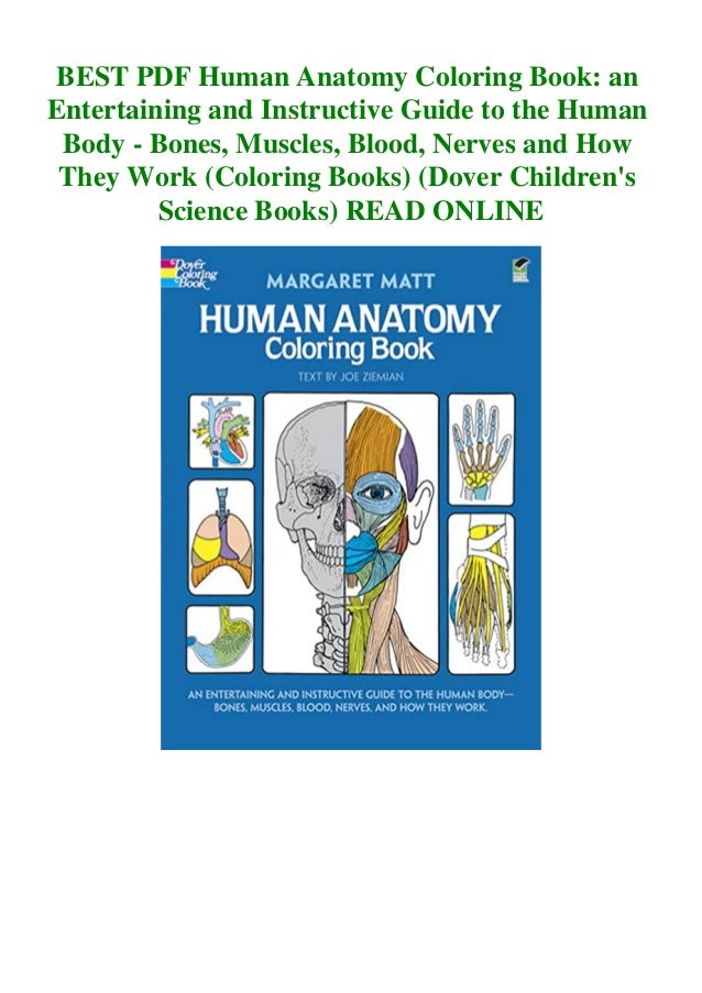 Download Best Pdf Human Anatomy Coloring Book An Entertaining And Instructive