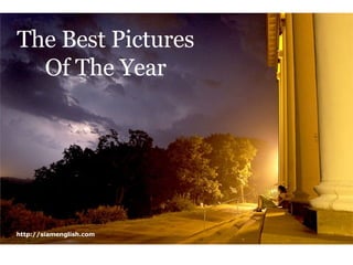 The Best Pictures Of The Year http://siamenglish.com 