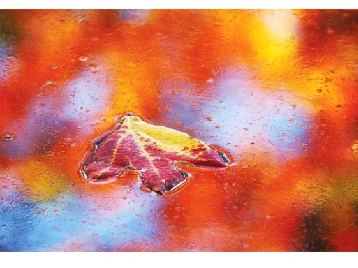 The Best Pictures of the Year