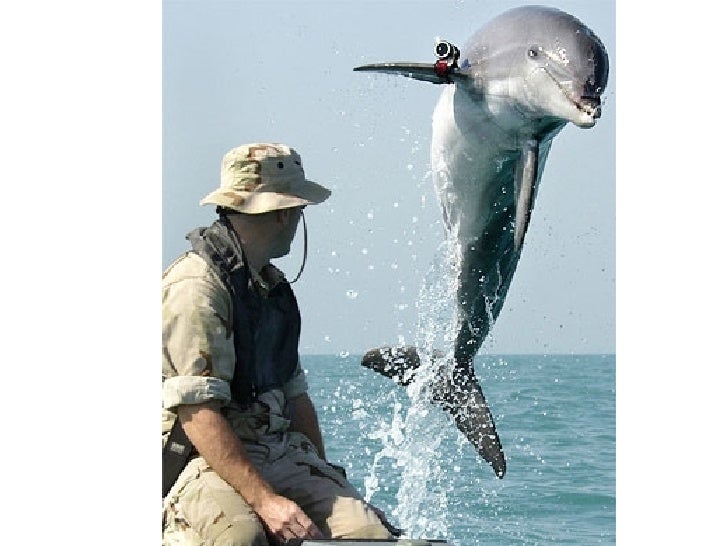 The Best Pictures of the Year