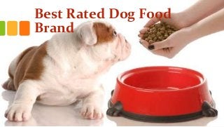 Best Rated Dog Food
Brand
 