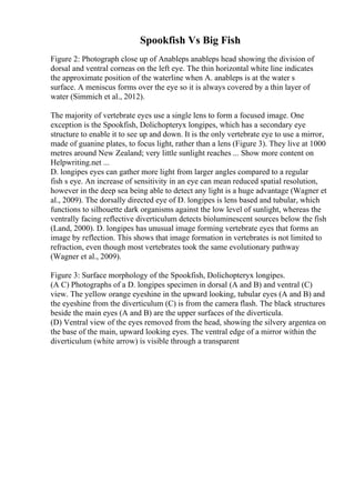 Spookfish Vs Big Fish
Figure 2: Photograph close up of Anableps anableps head showing the division of
dorsal and ventral corneas on the left eye. The thin horizontal white line indicates
the approximate position of the waterline when A. anableps is at the water s
surface. A meniscus forms over the eye so it is always covered by a thin layer of
water (Simmich et al., 2012).
The majority of vertebrate eyes use a single lens to form a focused image. One
exception is the Spookfish, Dolichopteryx longipes, which has a secondary eye
structure to enable it to see up and down. It is the only vertebrate eye to use a mirror,
made of guanine plates, to focus light, rather than a lens (Figure 3). They live at 1000
metres around New Zealand; very little sunlight reaches ... Show more content on
Helpwriting.net ...
D. longipes eyes can gather more light from larger angles compared to a regular
fish s eye. An increase of sensitivity in an eye can mean reduced spatial resolution,
however in the deep sea being able to detect any light is a huge advantage (Wagner et
al., 2009). The dorsally directed eye of D. longipes is lens based and tubular, which
functions to silhouette dark organisms against the low level of sunlight, whereas the
ventrally facing reflective diverticulum detects bioluminescent sources below the fish
(Land, 2000). D. longipes has unusual image forming vertebrate eyes that forms an
image by reflection. This shows that image formation in vertebrates is not limited to
refraction, even though most vertebrates took the same evolutionary pathway
(Wagner et al., 2009).
Figure 3: Surface morphology of the Spookfish, Dolichopteryx longipes.
(A C) Photographs of a D. longipes specimen in dorsal (A and B) and ventral (C)
view. The yellow orange eyeshine in the upward looking, tubular eyes (A and B) and
the eyeshine from the diverticulum (C) is from the camera flash. The black structures
beside the main eyes (A and B) are the upper surfaces of the diverticula.
(D) Ventral view of the eyes removed from the head, showing the silvery argentea on
the base of the main, upward looking eyes. The ventral edge of a mirror within the
diverticulum (white arrow) is visible through a transparent
 