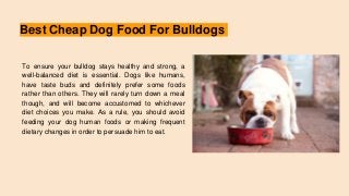Best Cheap Dog Food For Bulldogs
To ensure your bulldog stays healthy and strong, a
well-balanced diet is essential. Dogs like humans,
have taste buds and definitely prefer some foods
rather than others. They will rarely turn down a meal
though, and will become accustomed to whichever
diet choices you make. As a rule, you should avoid
feeding your dog human foods or making frequent
dietary changes in order to persuade him to eat.
 