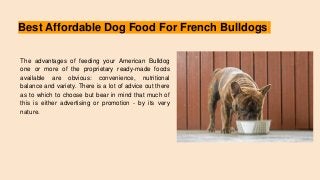 Best Affordable Dog Food For French Bulldogs
The advantages of feeding your American Bulldog
one or more of the proprietary ready-made foods
available are obvious: convenience, nutritional
balance and variety. There is a lot of advice out there
as to which to choose but bear in mind that much of
this is either advertising or promotion - by its very
nature.
 