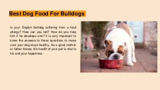 Best Dog Food For Bulldogs
Is your English Bulldog suffering from a food
allergy? How can you tell? How do you help
him if he develops one? It is very important to
know the answers to these questions to make
sure your dog stays healthy. As a good mother
or father knows, the health of your pet is vital to
his and your happiness.
 