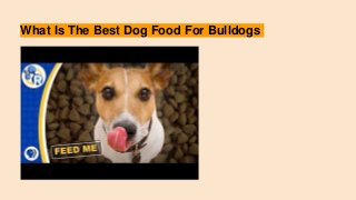 What Is The Best Dog Food For Bulldogs
 