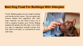 Best Dog Food For Bulldogs With Allergies
French Bulldog puppies are very eager to please
and friendly by their nature. They are gentle with
humans despite their aggression with other
dogs. However, you still need to take a lot of
time to properly socialize your French Bulldog
puppies with people and other pets. If you notice
any signs of aggression towards humans then
they need to be taken to a professional trainer
right away.
 