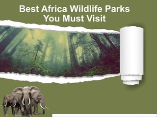 Best Africa Wildlife Parks
You Must Visit
 